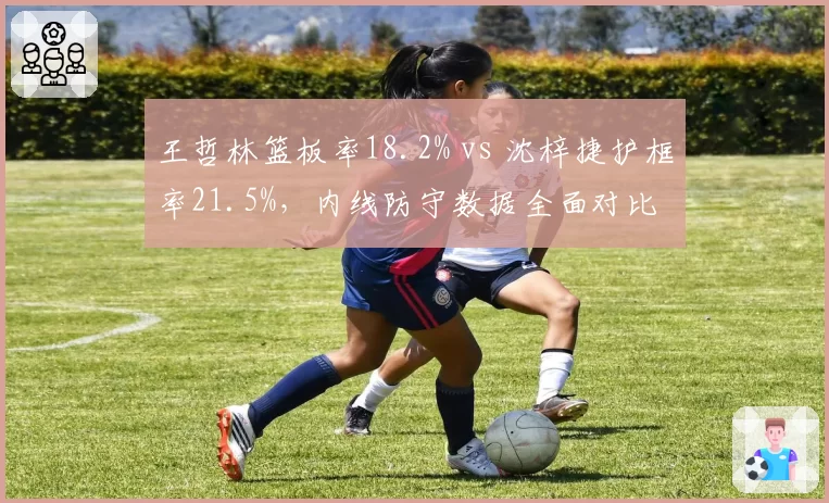 王哲林篮板率18.2% vs 沈梓捷护框率21.5%，内线防守数据全面对比