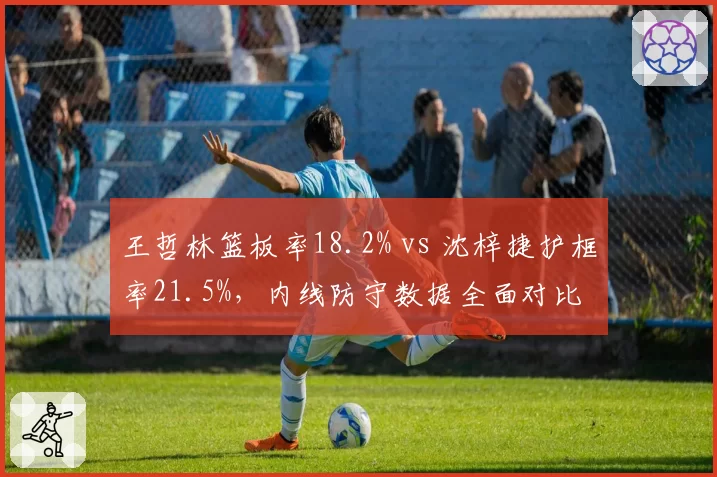 王哲林篮板率18.2% vs 沈梓捷护框率21.5%，内线防守数据全面对比